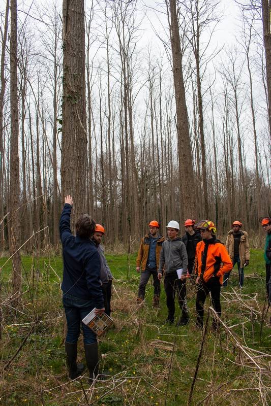 voyage-d-tudes-dans-les-landes-avec-la-classe-de-bts-gestion-foresti-re